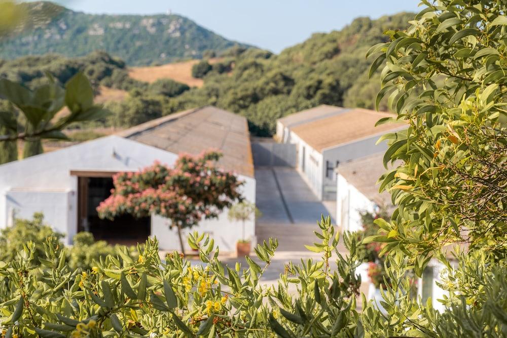 Hotel Rural Sant Patrici (Adults Only) Ferreries Buitenkant foto