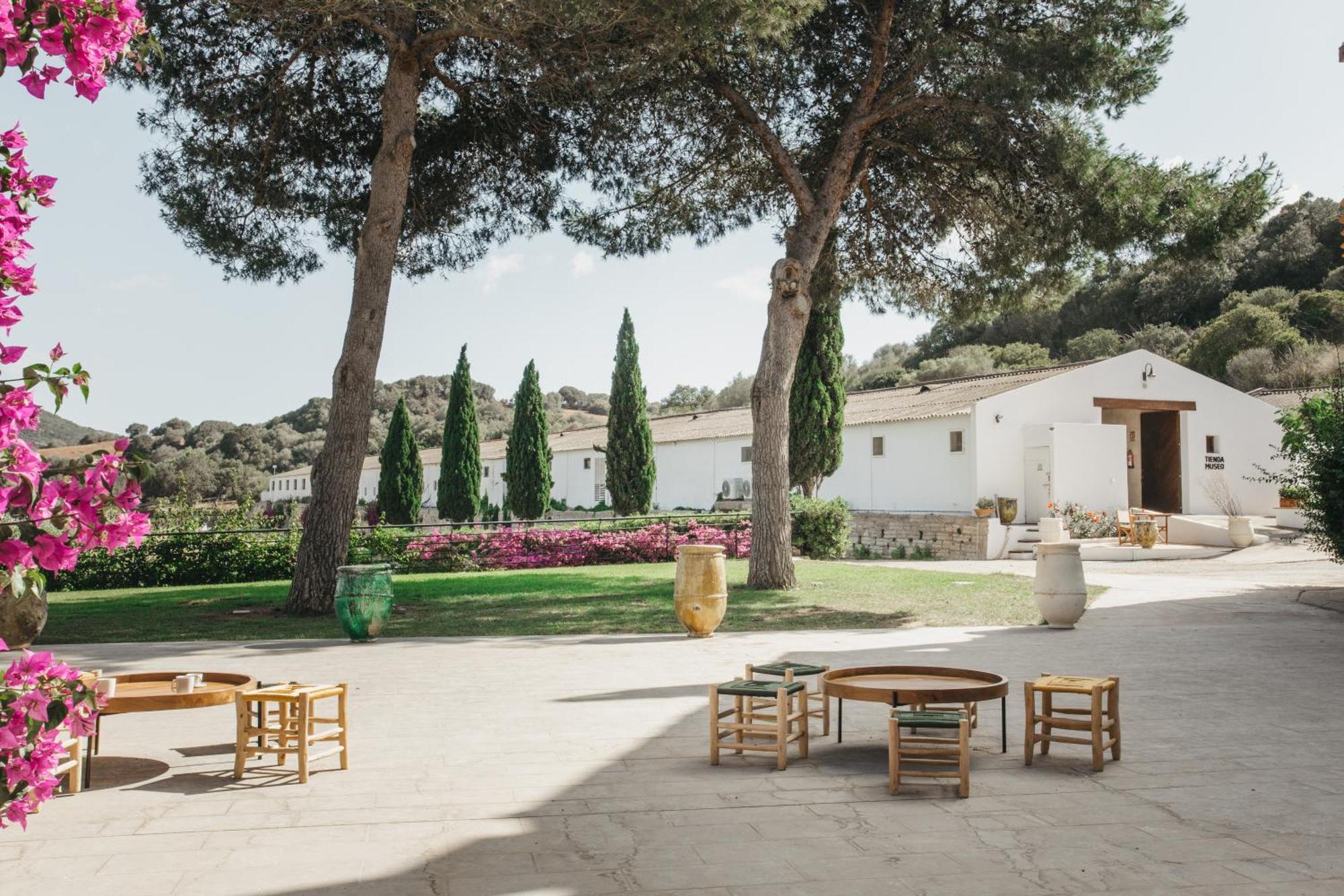 Hotel Rural Sant Patrici (Adults Only) Ferreries Buitenkant foto