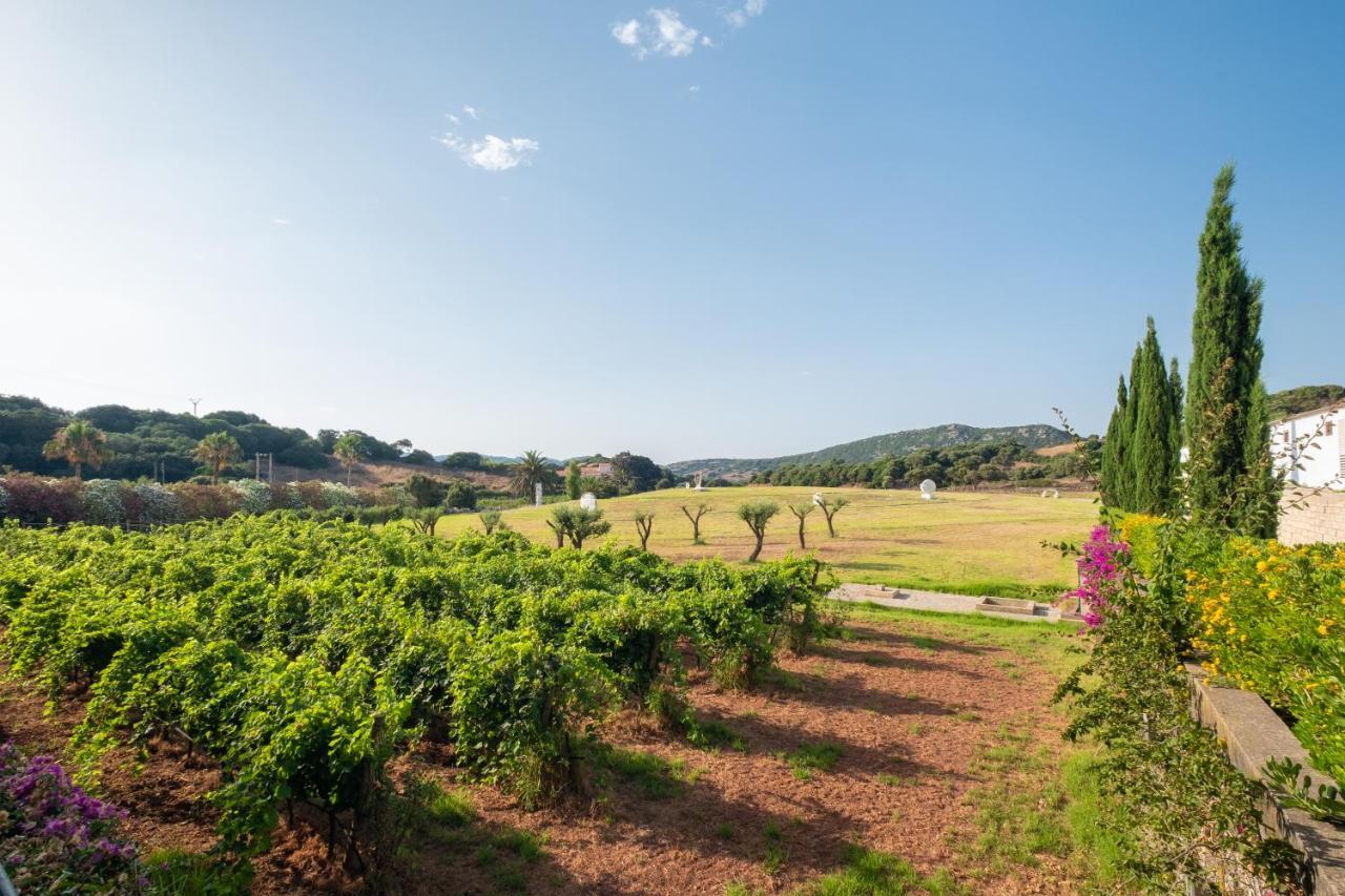 Hotel Rural Sant Patrici (Adults Only) Ferreries Buitenkant foto