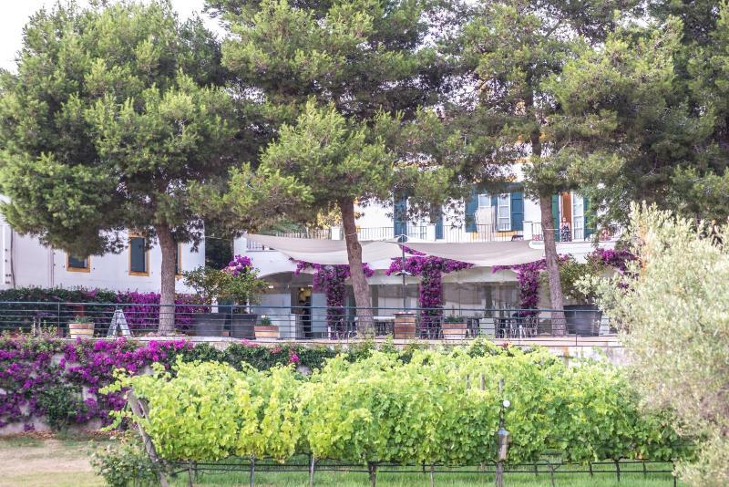 Hotel Rural Sant Patrici (Adults Only) Ferreries Buitenkant foto